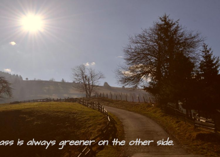 From the Other Side, Where the Grass is Always Greener